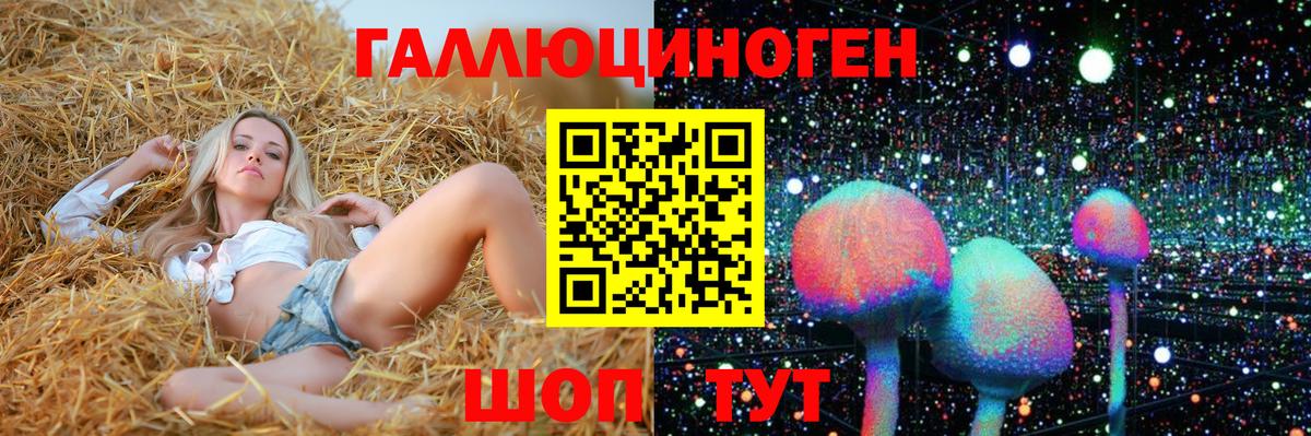 Галлюциногенные грибы Cubensis Калуга
