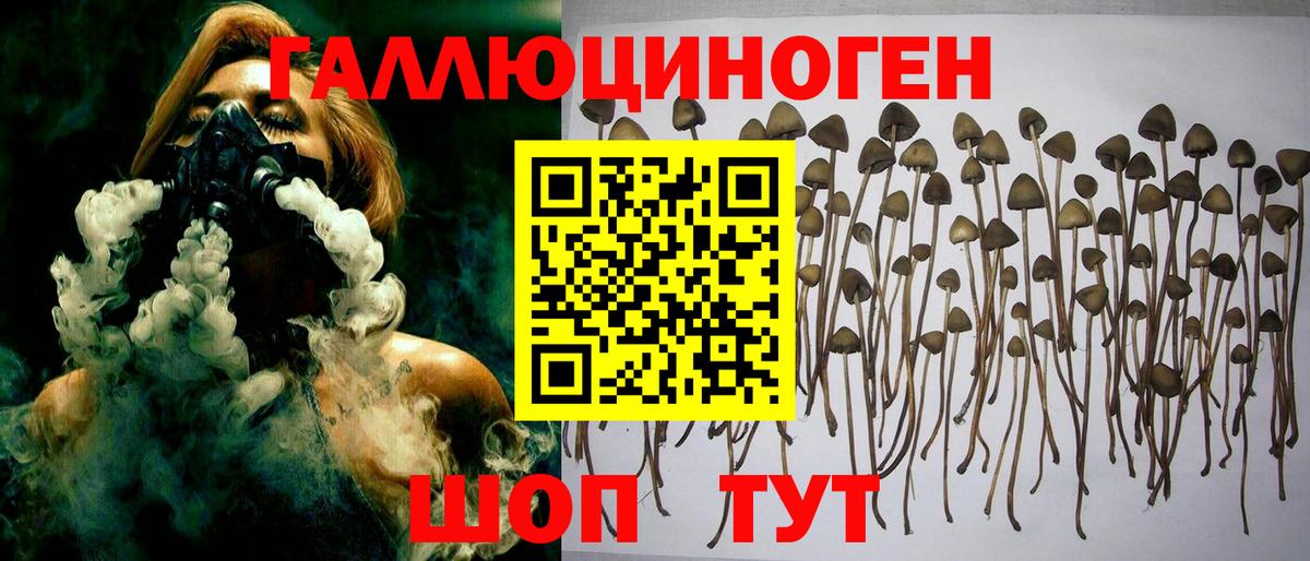 Калуга  Галлюциногенные грибы Cubensis  Вход с VPN  Галлюциногенные грибы MAGIC MUSHROOMS 